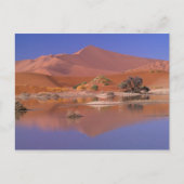 Afrika, Namibia. Namib-Naukluft Park. 2 Postkarte (Vorderseite)