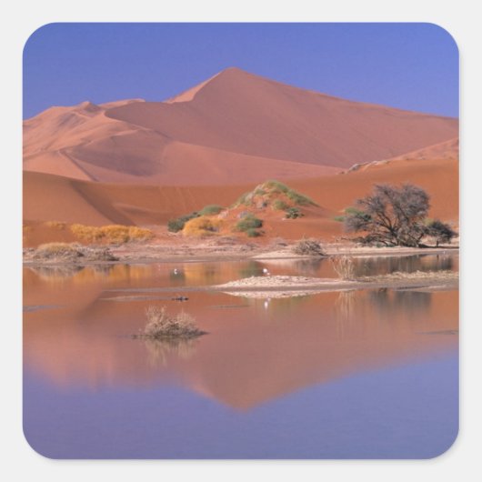 Afrika, Namibia. Namib-Naukluft Park. 2 Quadratischer Aufkleber (Vorderseite)