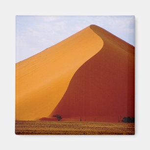 Afrika, Namibia, Naukluft National Park, 2 Magnet