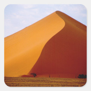 Afrika, Namibia, Naukluft National Park, 2 Quadratischer Aufkleber