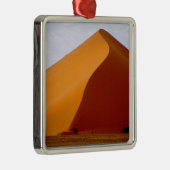 Afrika, Namibia, Naukluft National Park, 2 Silbernes Ornament (Rechts)