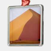 Afrika, Namibia, Naukluft National Park, 2 Silbernes Ornament (Links)