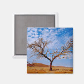 Afrika, Namibia, Naukluft National Park, Magnet (Vorderseite/Rückseite)