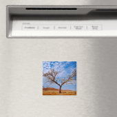 Afrika, Namibia, Naukluft National Park, Magnet (In Situ (Geschirrspüler))