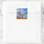 Afrika, Namibia, Naukluft National Park, Quadratischer Aufkleber (Tasche)