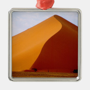 Afrika, Namibia, Naukluft-Nationalpark, 2 Silbernes Ornament