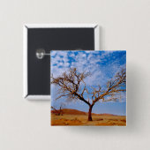 Afrika, Namibia, Naukluft-Nationalpark, Button (Vorne & Hinten)