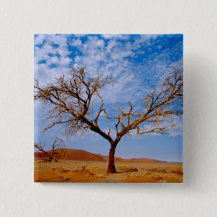 Afrika, Namibia, Naukluft-Nationalpark, Button