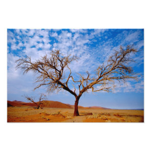 Afrika, Namibia, Naukluft-Nationalpark, Fotodruck