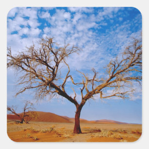 Afrika, Namibia, Naukluft-Nationalpark, Quadratischer Aufkleber