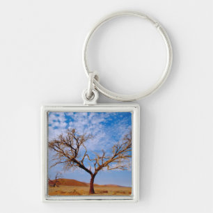 Afrika, Namibia, Naukluft-Nationalpark, Schlüsselanhänger