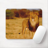 Afrika, Namibia, Okonjima. Einsamer männlicher Löw Mousepad (Mit Mouse)