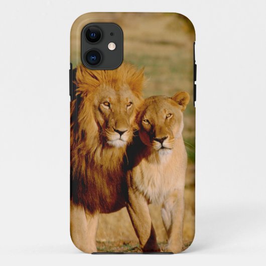 Afrika, Namibia, Okonjima. Löwe Case-Mate iPhone Hülle (Rückseite)