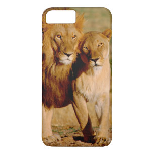 Afrika, Namibia, Okonjima. Löwe Case-Mate iPhone Hülle