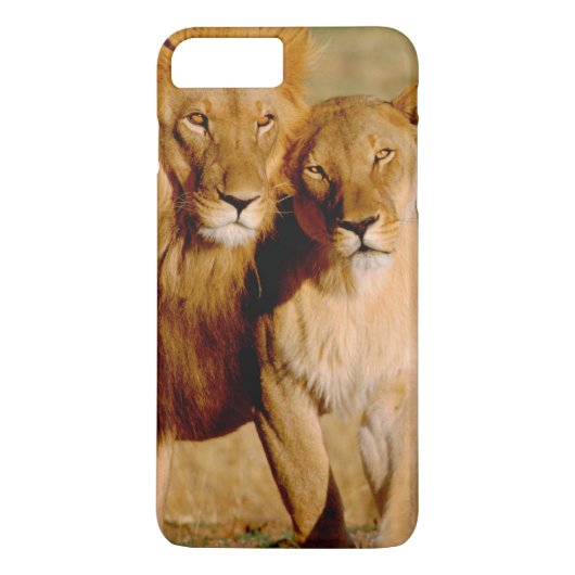 Afrika, Namibia, Okonjima. Löwe Case-Mate iPhone Hülle (Rückseite)