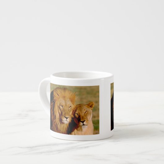Afrika, Namibia, Okonjima. Löwe Espressotasse (Vorderseite Links)