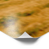 Afrika, Namibia, Okonjima. Löwe Fotodruck (Ecke)