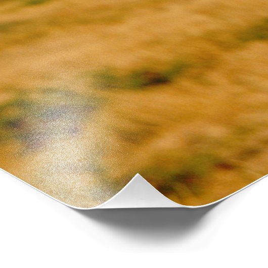 Afrika, Namibia, Okonjima. Löwe Fotodruck (Ecke)