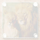 Afrika, Namibia, Okonjima. Löwe Glasuntersetzer (Rückseite)