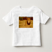 Afrika, Namibia, Okonjima. Löwe Kleinkind T-shirt (Vorderseite)