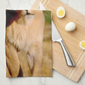 Afrika, Namibia, Okonjima. Löwe Küchentuch (Viertel Falte)