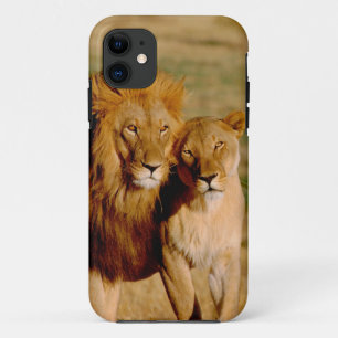 Afrika, Namibia, Okonjima. Löwe & Löwin Case-Mate iPhone Hülle