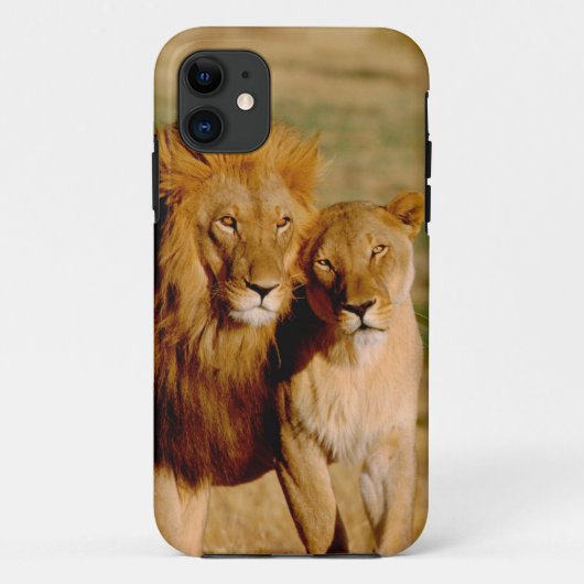 Afrika, Namibia, Okonjima. Löwe & Löwin Case-Mate iPhone Hülle (Rückseite)