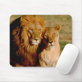 Afrika, Namibia, Okonjima. Löwe & Löwin Mousepad (Mit Mouse)