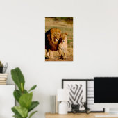 Afrika, Namibia, Okonjima. Löwe Poster (Heimbüro)