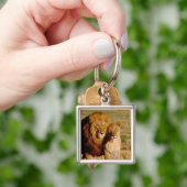 Afrika, Namibia, Okonjima. Löwe Schlüsselanhänger (Hand)