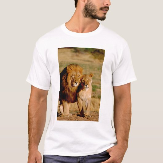 Afrika, Namibia, Okonjima. Löwe T-Shirt (Vorderseite)