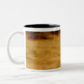 Afrika, Namibia, Okonjima. Löwe Zweifarbige Tasse (Links)
