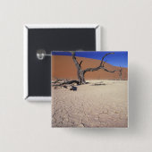 Afrika, Namibia, Region Sossusvlei. Sanddünen Button (Vorne & Hinten)