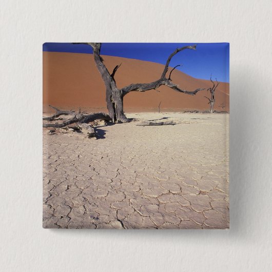 Afrika, Namibia, Region Sossusvlei. Sanddünen Button (Vorderseite)