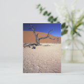 Afrika, Namibia, Region Sossusvlei. Sanddünen Postkarte (Stehend Vorderseite)