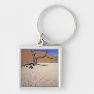 Afrika, Namibia, Region Sossusvlei. Sanddünen Schlüsselanhänger