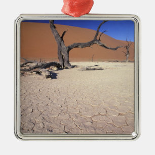 Afrika, Namibia, Region Sossusvlei. Sanddünen Silbernes Ornament