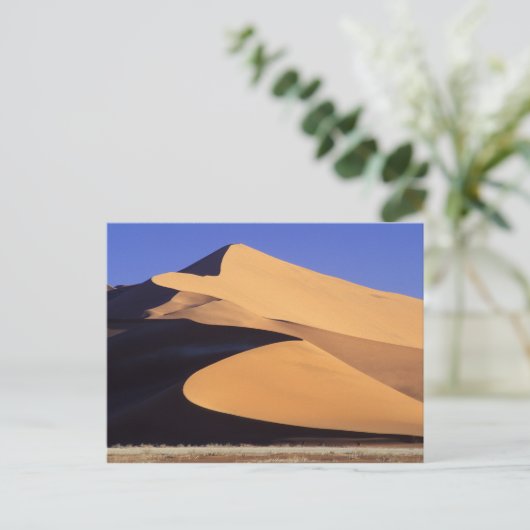 Afrika, Namibia, Sesriem und Sossusvlei Namib Postkarte (Stehend Vorderseite)