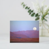 Afrika, Namibia, Sossusvlei. Ein Vollmond ruht Postkarte (Stehend Vorderseite)