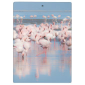 Afrika, Namibia, Walvis Bay Klemmbrett (Rückseite)