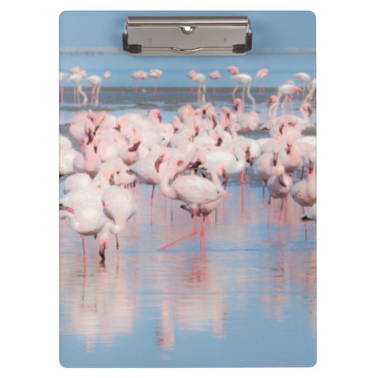 Afrika, Namibia, Walvis Bay Klemmbrett (Vorderseite)