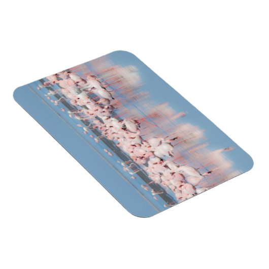 Afrika, Namibia, Walvis Bay Magnet (Rechte Seite)