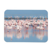 Afrika, Namibia, Walvis Bay Magnet (Horizontal)