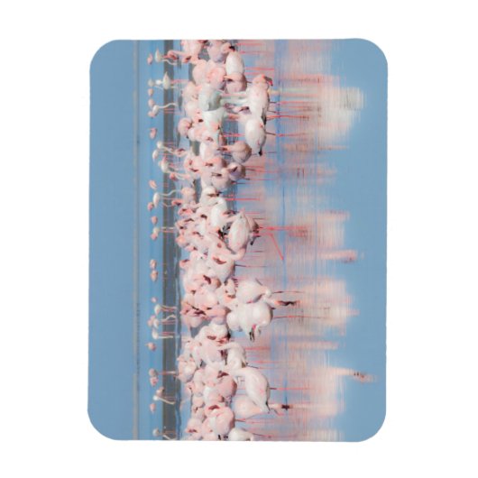 Afrika, Namibia, Walvis Bay Magnet (Vertikal)