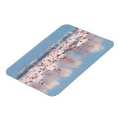 Afrika, Namibia, Walvis Bay Magnet (Linke Seite)