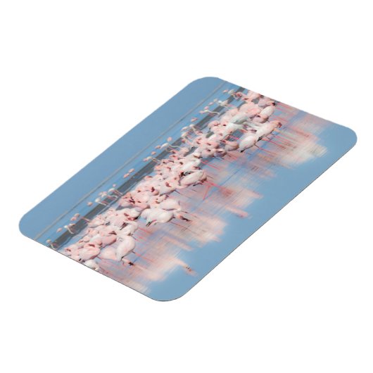 Afrika, Namibia, Walvis Bay Magnet (Linke Seite)