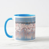 Afrika, Namibia, Walvis Bay Tasse (Links)