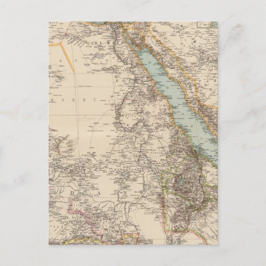 Afrika NE Postkarte (Vorderseite)