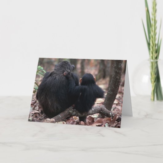 Afrika, Ostafrika, Tansania, Gombe Karte (Vorderseite)