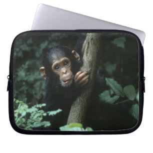 Afrika, Ostafrika, Tansania, Gombe-National Laptopschutzhülle